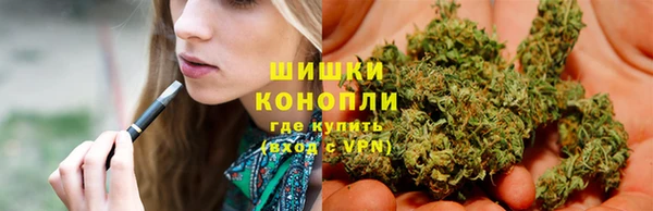 PSILOCYBIN Мегион