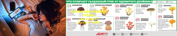 PSILOCYBIN Мегион