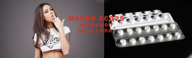 PSILOCYBIN Мегион