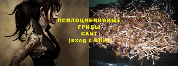a pvp Медвежьегорск