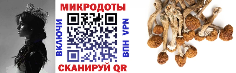 Псилоцибиновые грибы GOLDEN TEACHER Шлиссельбург